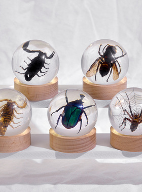 真实昆虫标本水晶琥珀圆球摆件花卉蒲公英手工工艺品家居桌面装饰
