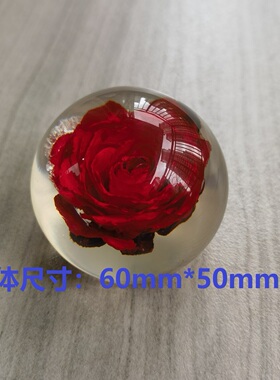 树脂永生花鲜花昆虫魔方球型简约现代居家书房办公室台饰生日礼物