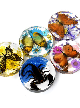 真实蝴蝶标本圆盘琥珀树脂昆虫标本摆件儿童情侣礼物蝎子蜘蛛标本