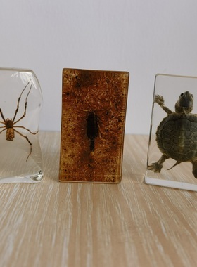 琥珀小摆件螃蟹学生礼品昆虫标本