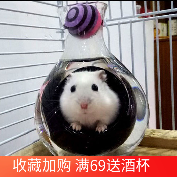 玻璃冰酒器日式酒具 冰酒壶 醒酒器 仓鼠降温壶 窝 消暑用品房子