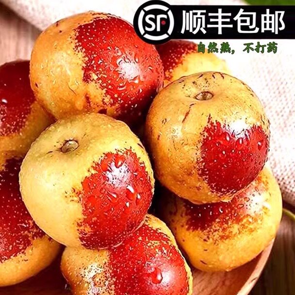 新鲜黄骅冬枣新鲜发货3斤5斤中果顺丰包邮河北