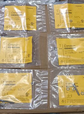 图尔克BI1-EG05-AP6X-V1331 46086