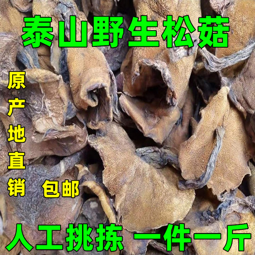 山东泰山野生新鲜松菇炖鸡松蘑菇