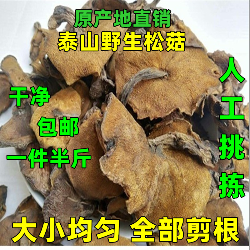 山东特产新鲜野生松蘑菇小香菇干货松菇炖鸡蘑菇山蛾子松蛾子剪根