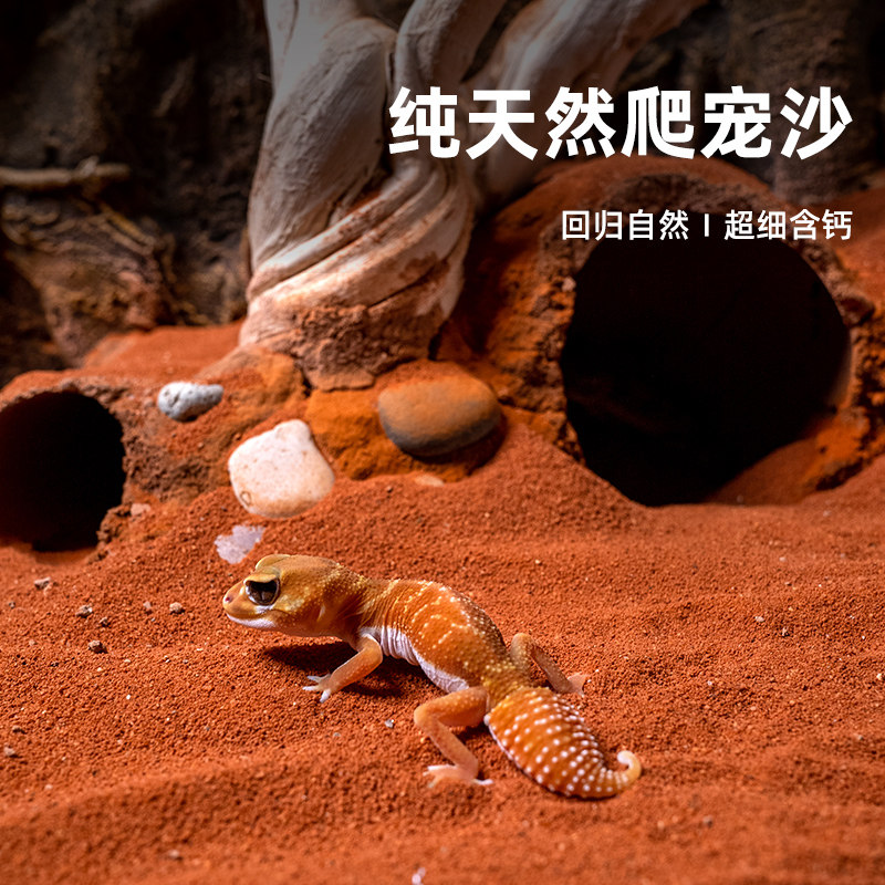 爬宠天然钙沙守宫蜥蜴爬虫造景砂石蜘蛛蝎子饲养箱垫材吸湿除臭龟