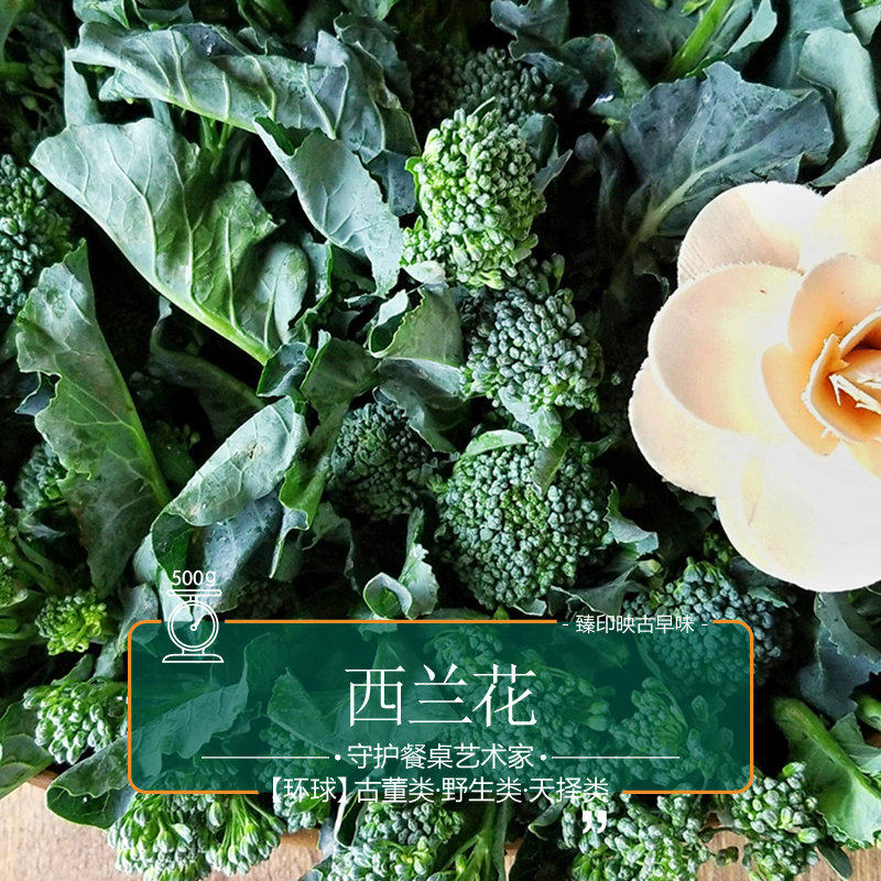 臻印映新鲜小叶西兰花脆嫩香甜营养完全天生天养无农残孕妇宝低碳