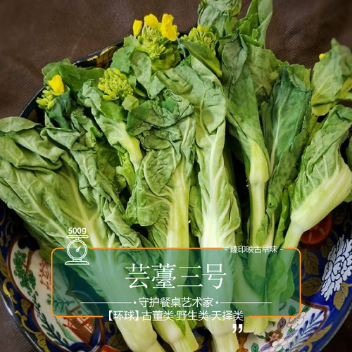 臻印映芸薹胜似穿越天生迟菜心