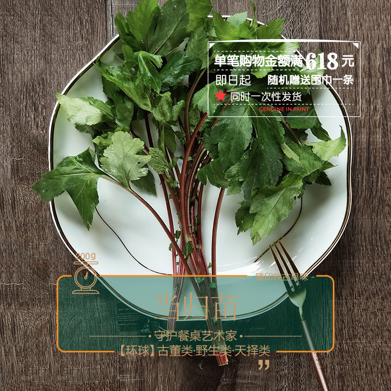 臻印映〡新鮮野菜當歸苗勝似野生超越有機養生大熱菜口感好值得試