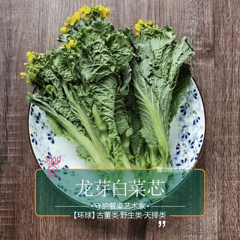 臻印映〡新鮮當季龍芽白菜芯勝似野生超越有機甜嫩可口寶寶輔食