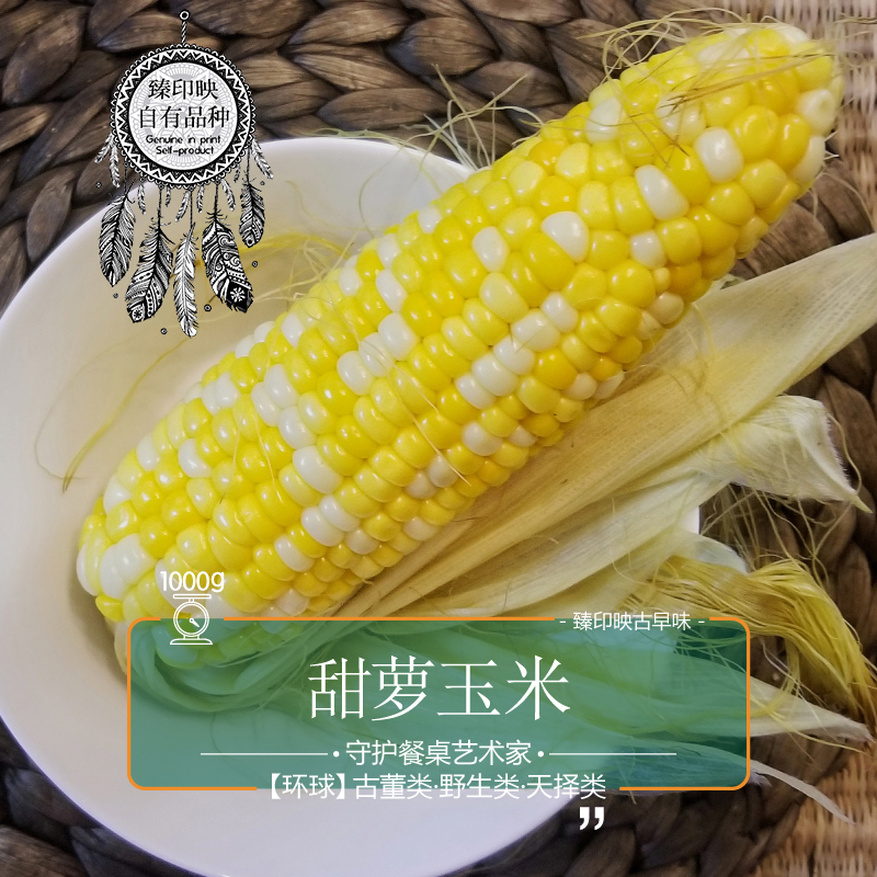 臻印映 新鮮甜蘿玉米勝似野生穿越有機天生天養甜嫩滋味軟萌香口