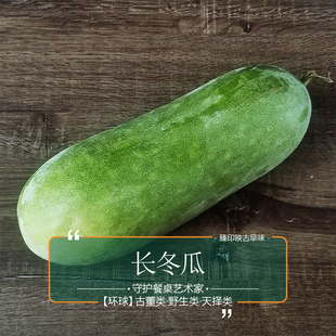 臻印映新鲜长冬瓜淳朴乡野自然成长天生天养瓜味浓肉质健康营养丰