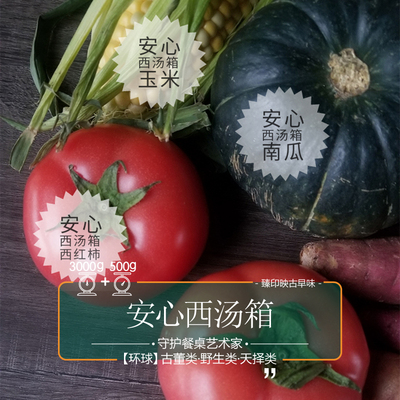 臻印映 安心西式汤料箱 胜似野生穿越有机 天生天养 营养全家①