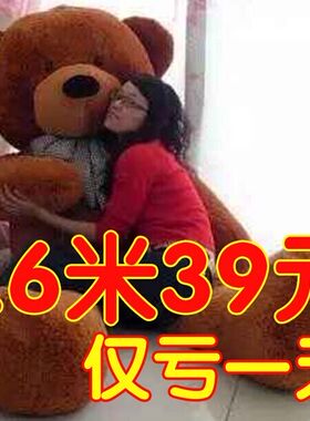 公仔抱抱熊抱枕泰迪熊布娃娃毛绒玩具熊大号生日礼物女生熊猫玩偶