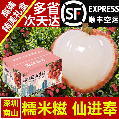 南山荔枝新鲜老树糯米糍5斤礼箱