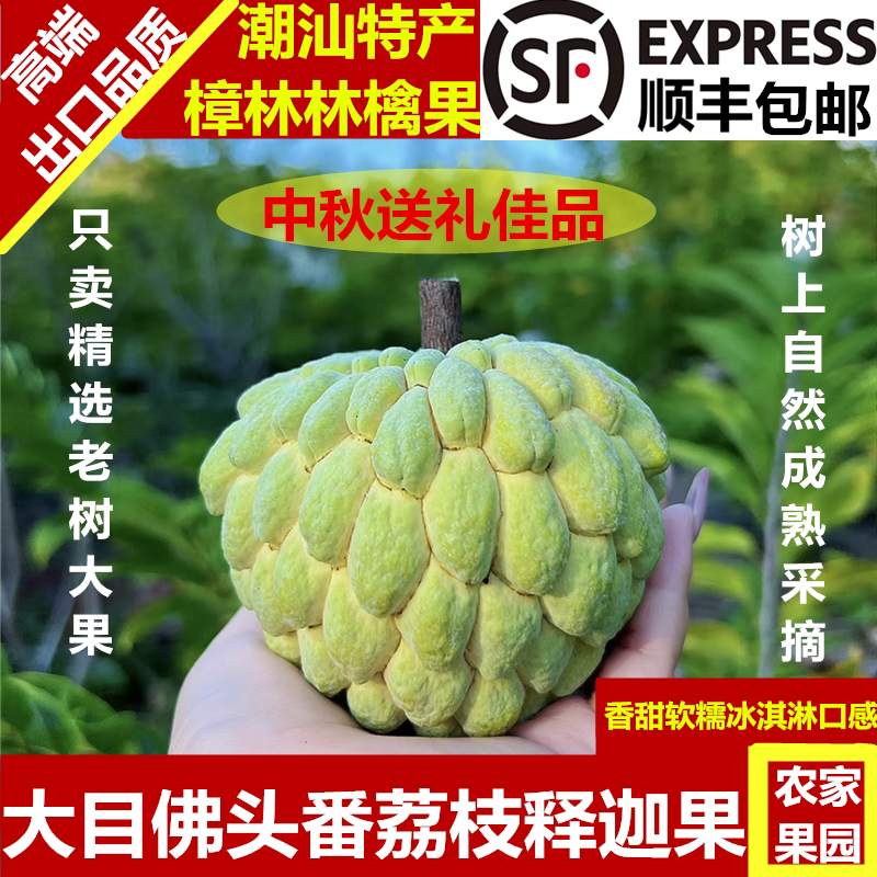 顺丰包邮广东潮汕特产正宗樟林大目林檎佛头新鲜水果番荔枝释迦果