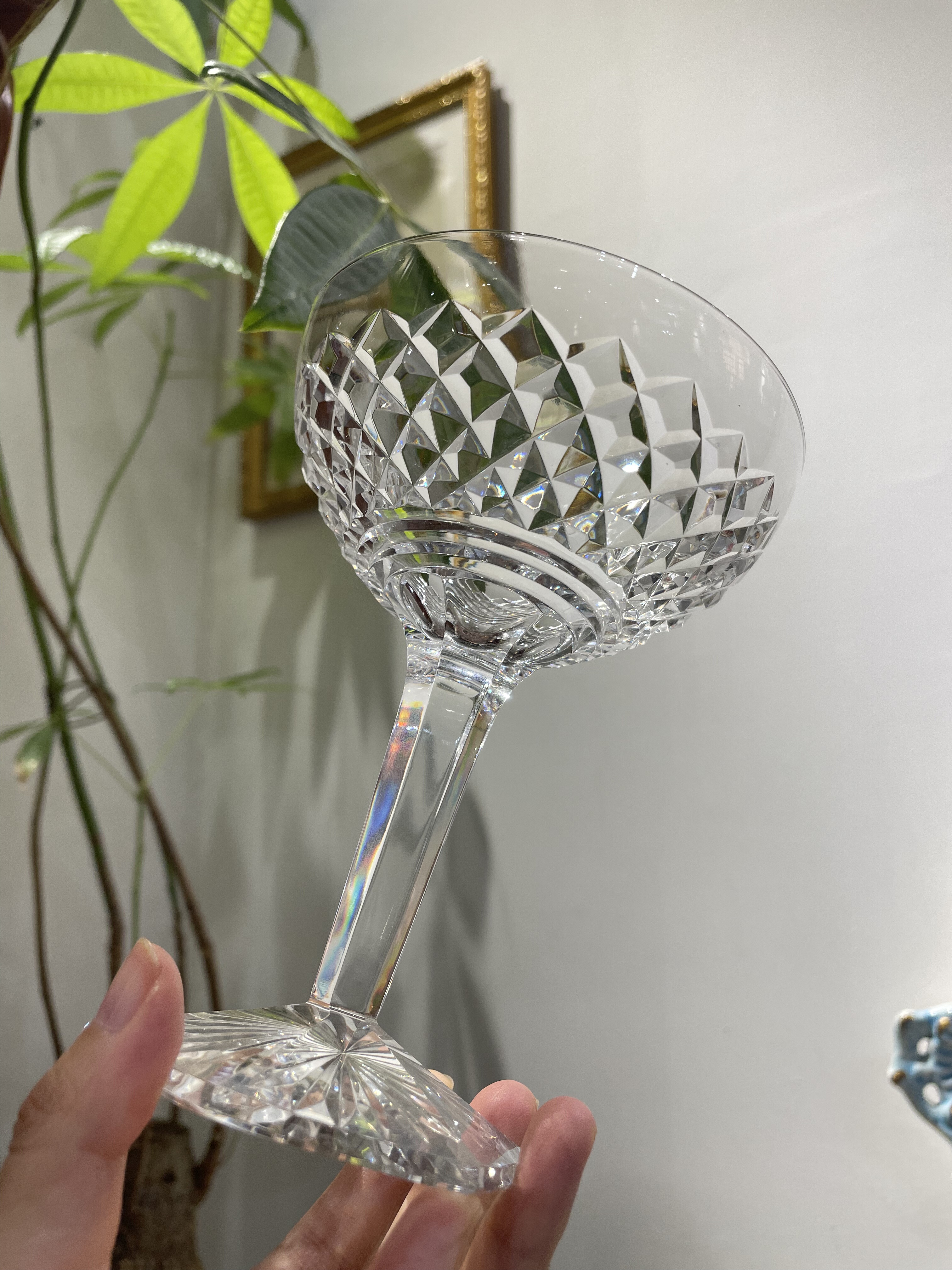 比利时圣朗博钻刻水晶香槟杯鸡尾酒杯