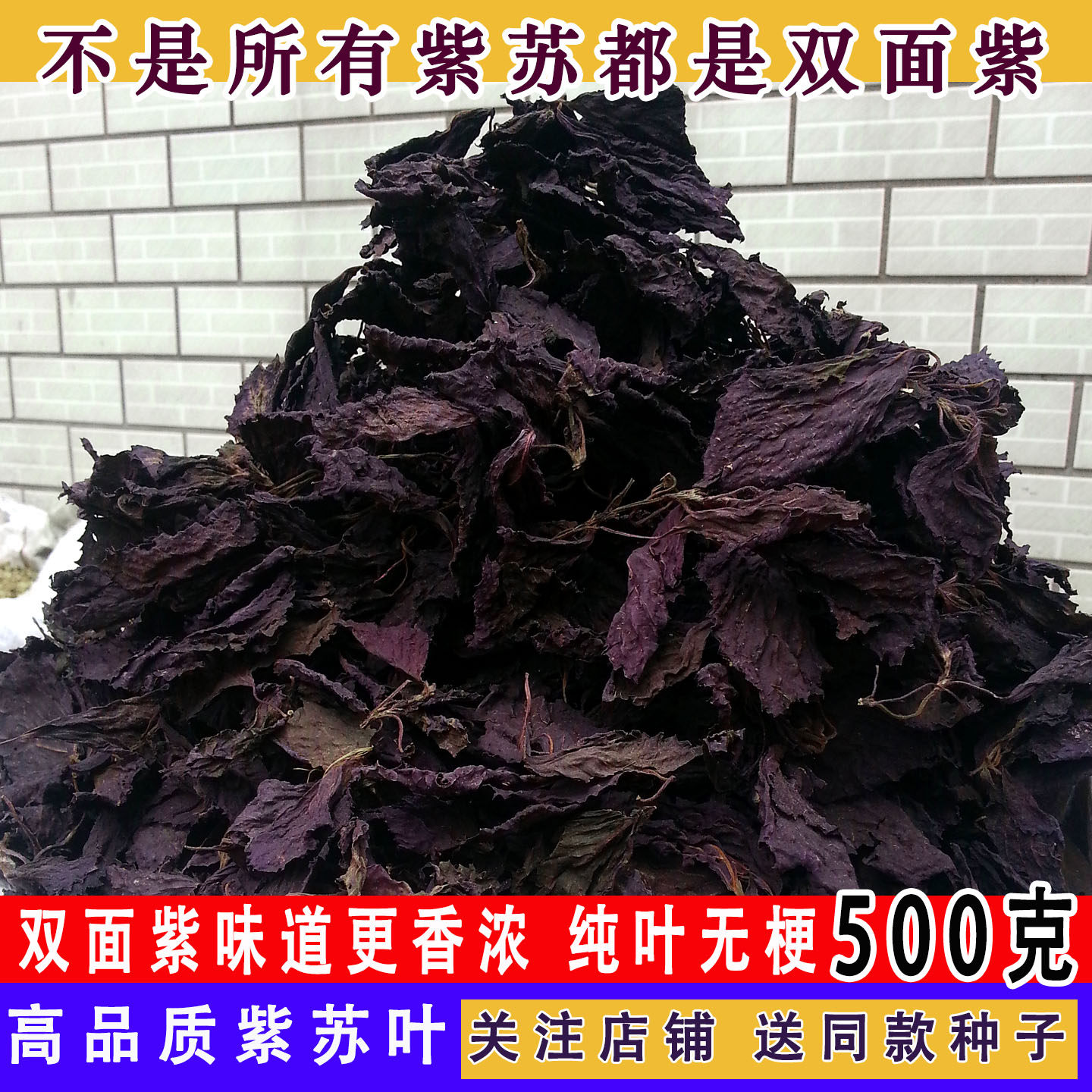 新货双面紫苏叶新鲜农家紫苏非野生干苏子叶茶香料500g克正宗直销