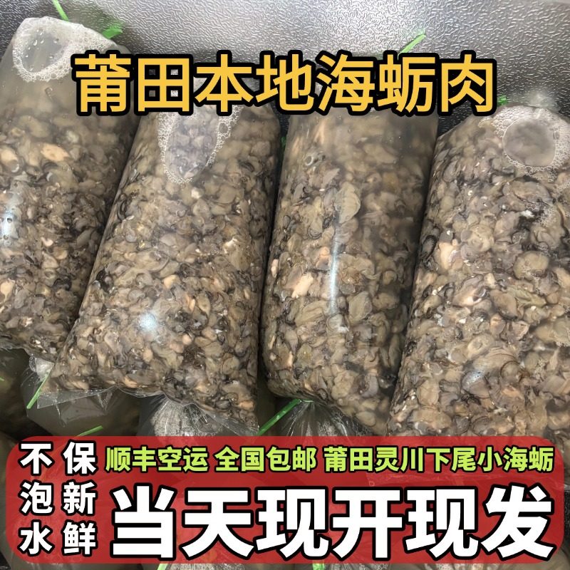 福建莆田本地海蛎肉灵川下尾小海蛎子现开现发不泡水无肚新鲜海产,水产肉类/新鲜蔬果/熟食,海鲜水产礼盒套装,淘宝优惠券,粉丝福利购,淘宝优惠卷
