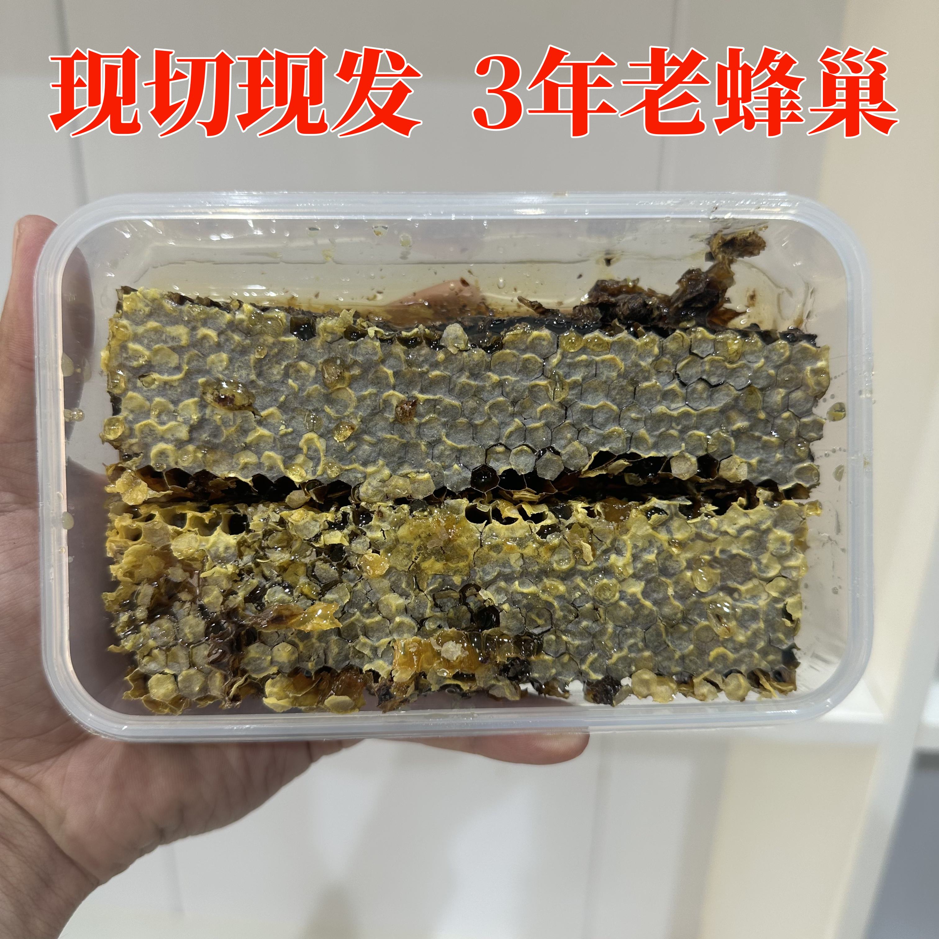 【直播切巢】东北深山三年以上老蜂巢蜜嚼着吃纯正天然农家蜂窝