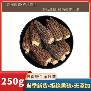 上商道地食材云南瑞丽特产正品 特级高品质高原羊肚菌250g