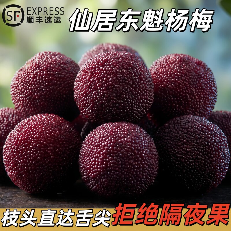 【特甜】正宗仙居东魁杨梅颗粒包装乒乓球礼盒时令当季新鲜水果