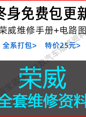 荣威维修手册电路图资料E550 750350 360 ERX5 950 W5 e50针脚