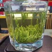 2025年新茶高山绿牡丹绿茶江山特产