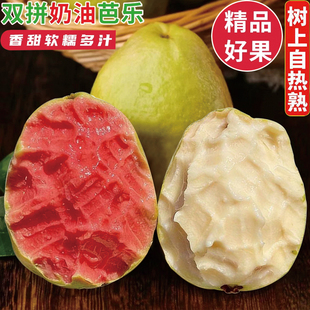 红白混搭装番石榴芭乐软心软糯香甜孕妇水果新鲜奶油冰淇淋软芭乐