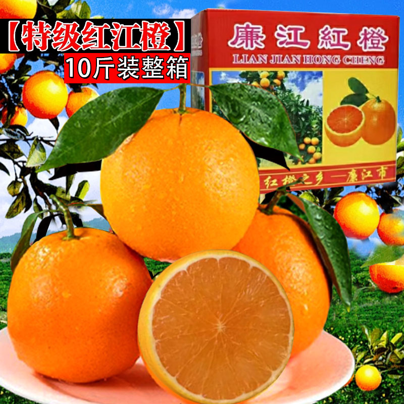 青平红江橙新鲜当季水果