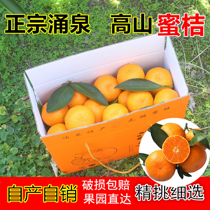 正宗临海涌泉蜜桔当季新鲜水果台州无核宫川黄岩蜜橘子官方旗舰店