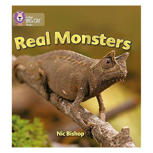 真正的怪物柯林斯大型猫科动