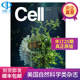美国出版 报刊书籍 细胞 杂志 25期 英文原版 cell 自然科学类 期刊杂志 进口原版 全年订阅