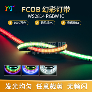 cob幻彩灯带24V可编程RGBW高像素784珠智能led流水全彩跑马软灯条