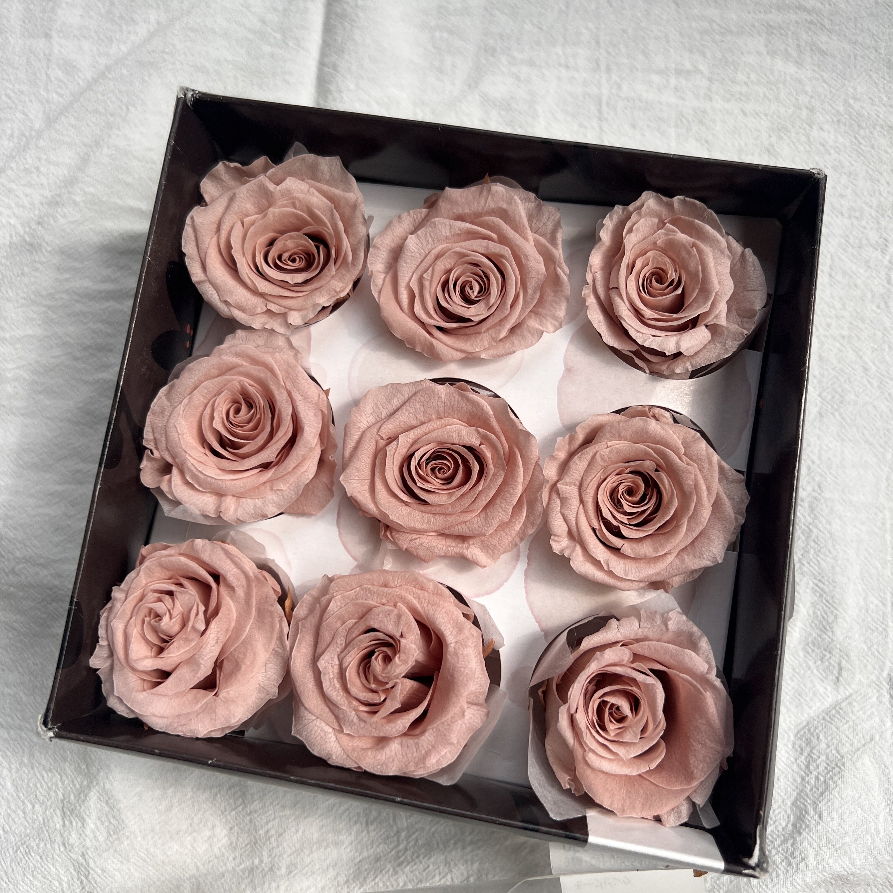 大地农园永生花玻璃罩礼盒装进口玫瑰DIY手工