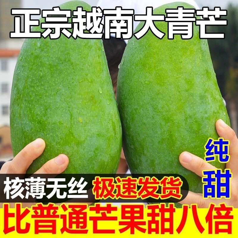 正宗越南进口青玉芒中大芒果新鲜现摘水果皮薄当应季一整箱非贵妃