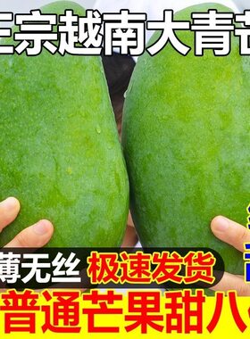 越南大青芒果新鲜水果
