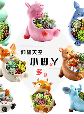 仰望小动物龙猫小猪佩奇多肉植物