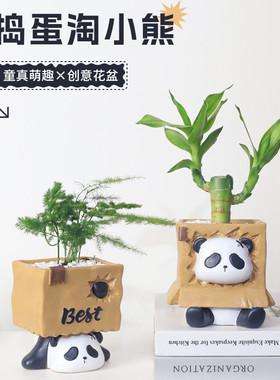 捣蛋淘小熊多肉花盆微景观花器