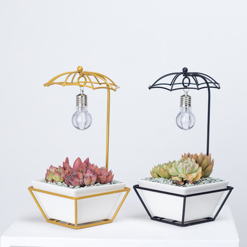 INS北欧简约金色铁艺陶瓷多肉植物花盆创意个性花器室内桌面装饰-封面