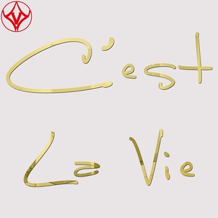 饰贴画自粘定制 Vie英文艺术3D立体镜面亚克力墙贴美化装 Cest