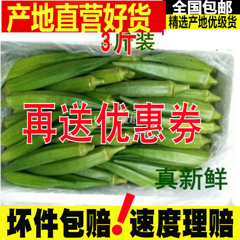 【3斤】新鲜秋葵 蔬菜 农家蔬菜秋葵 黄秋葵低价包邮无公害蔬菜|msdalam kategori daging perikanan/Buah-buahan segar dan sayur-sayuran/dimasak, sayur-sayuran segar/Vegetable Products, Okra - dari Buy2taobao.com untuk memberikan perkhidmatan ejen Taobao profesional membeli