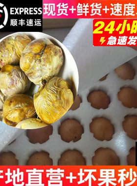 顺丰毛蛋18天上40枚毛鸡蛋】新鲜山东农家活珠子烧烤食材烤蛋包邮
