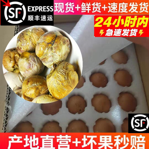 生毛鸡蛋营养毛蛋新鲜喜蛋凤凰蛋