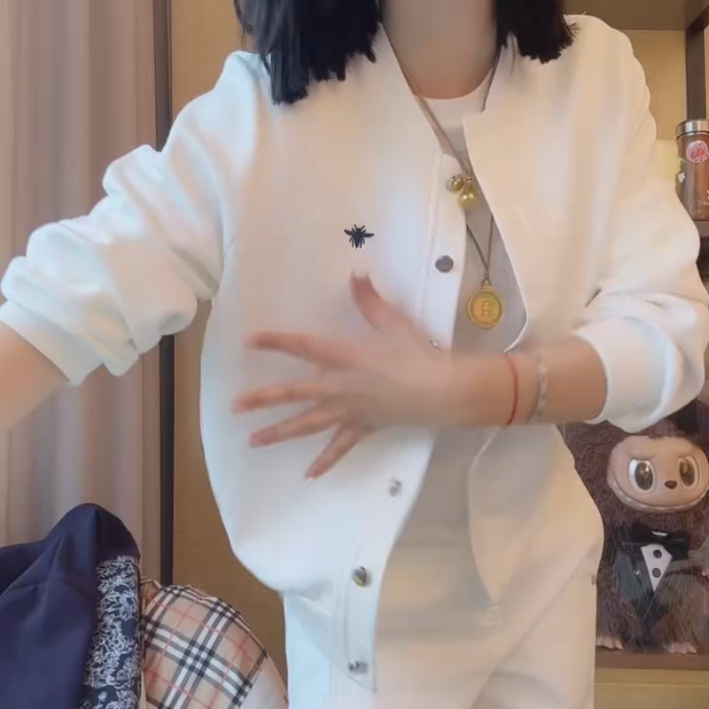 2025早秋新款设计感蜜蜂刺绣圆领百搭棒球服外套女装显瘦长袖上衣