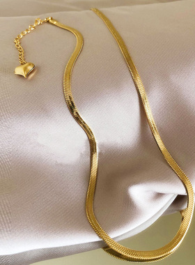 钛钢扁蛇骨项链女冷淡风简约小众轻奢网红锁骨链欧美气质百搭素链