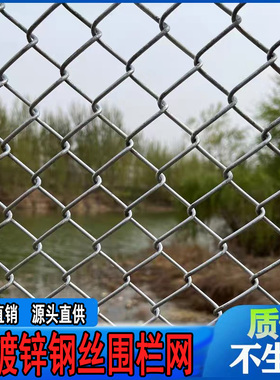 热镀锌钢丝网围栏养殖鸡鸭圈地果园猪狗牛羊栅栏户外不锈钢勾花网