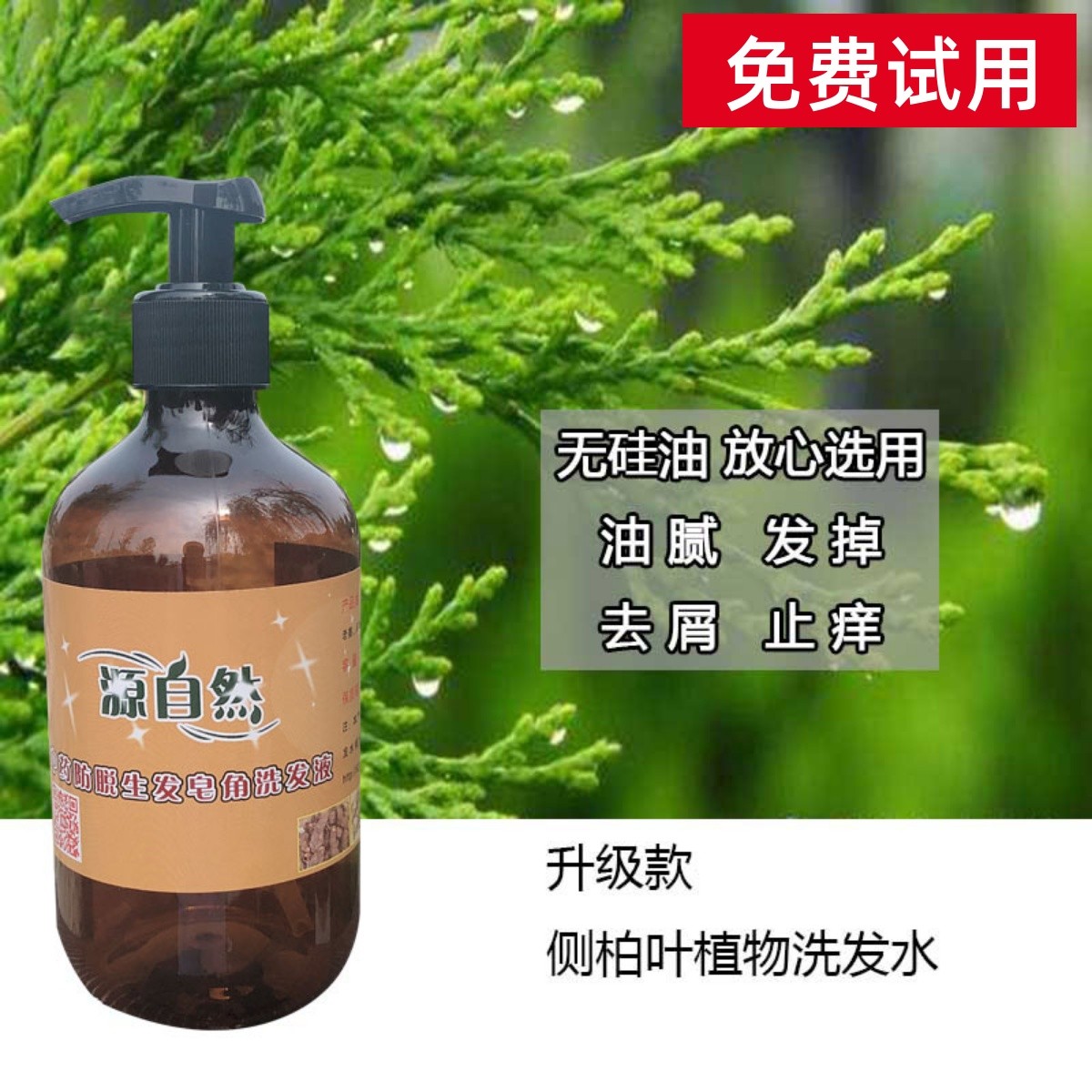 天然皂角首乌侧柏叶洗发水无硅油