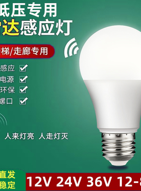 低压12V24V36V85V智能雷达感应人来灯亮人走灯灭低压声控灯泡照明