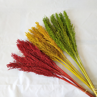 红高粱干花花束室内客厅摆件饰品diy手工材料真花天然风干送人